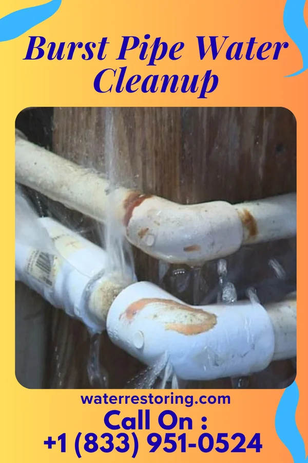 Burst Pipe Water Cleanup in Hawley, MN