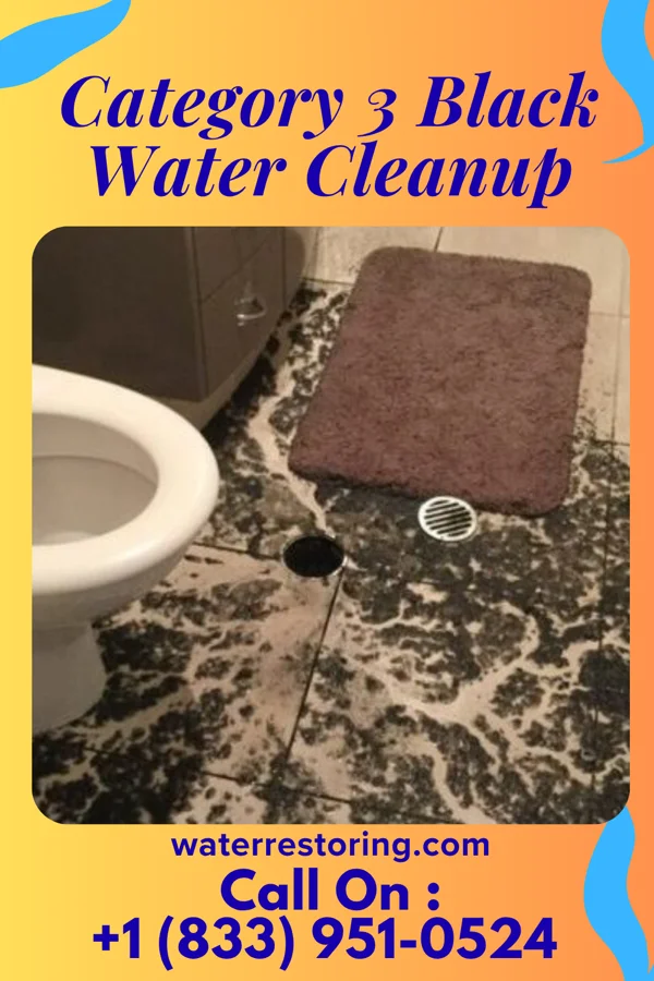 Category 3 Black Water Cleanup in Hawley, MN