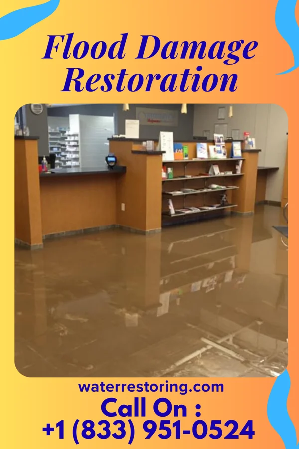 Flood Damage Restoration in Hawley, MN