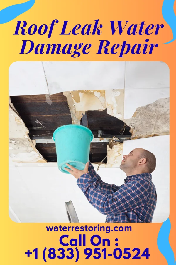 Roof Leak Water Damage Repair in Hawley, MN