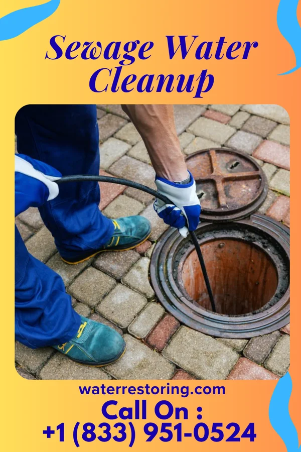 Sewage Water Cleanup in Hawley, MN