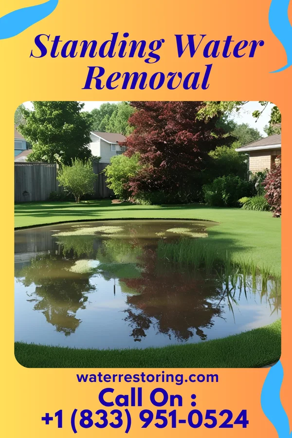 Standing Water Removal in Hawley, MN
